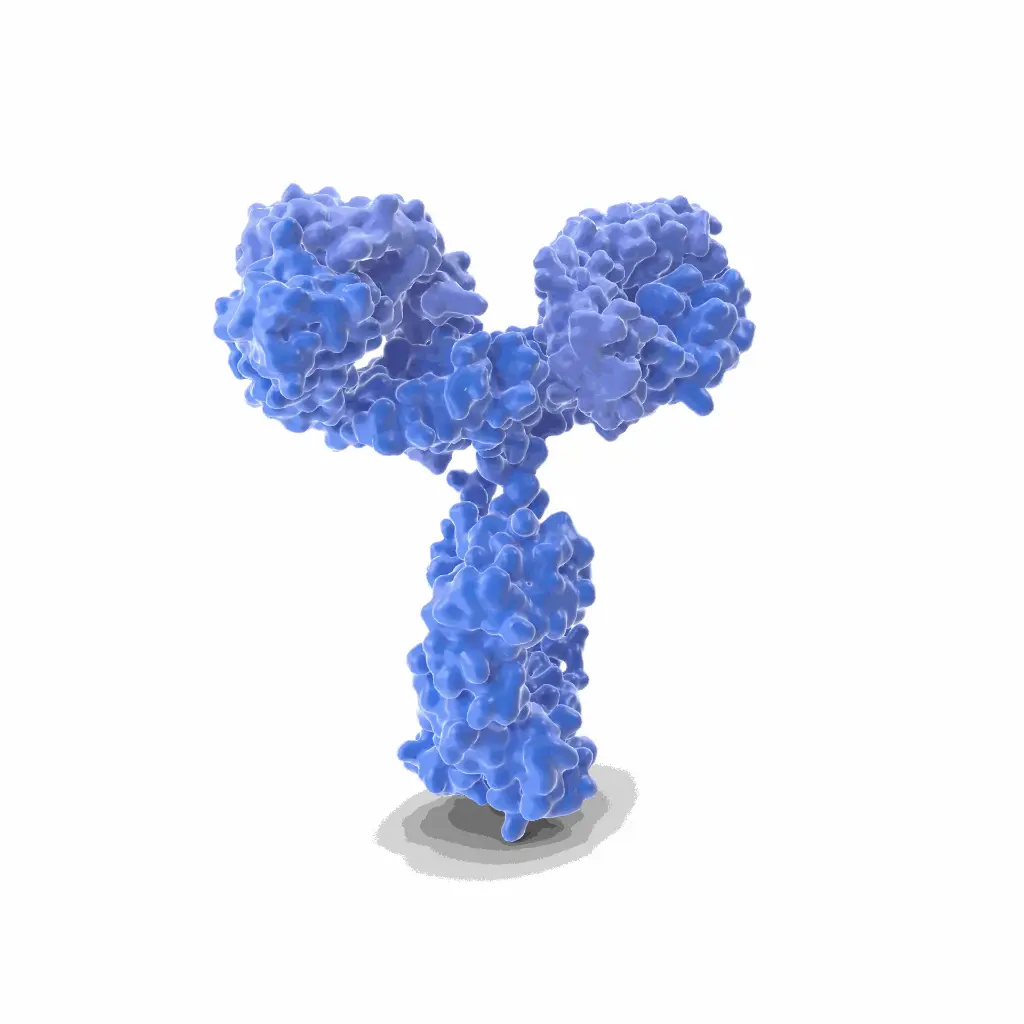 Gentaur Rat (11.23.22r) Mab-1 Monoclonal Antibody