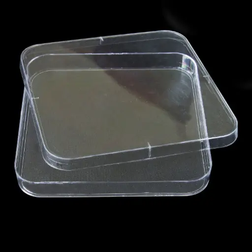 [SK-CELL-36] Square Petri Dishes